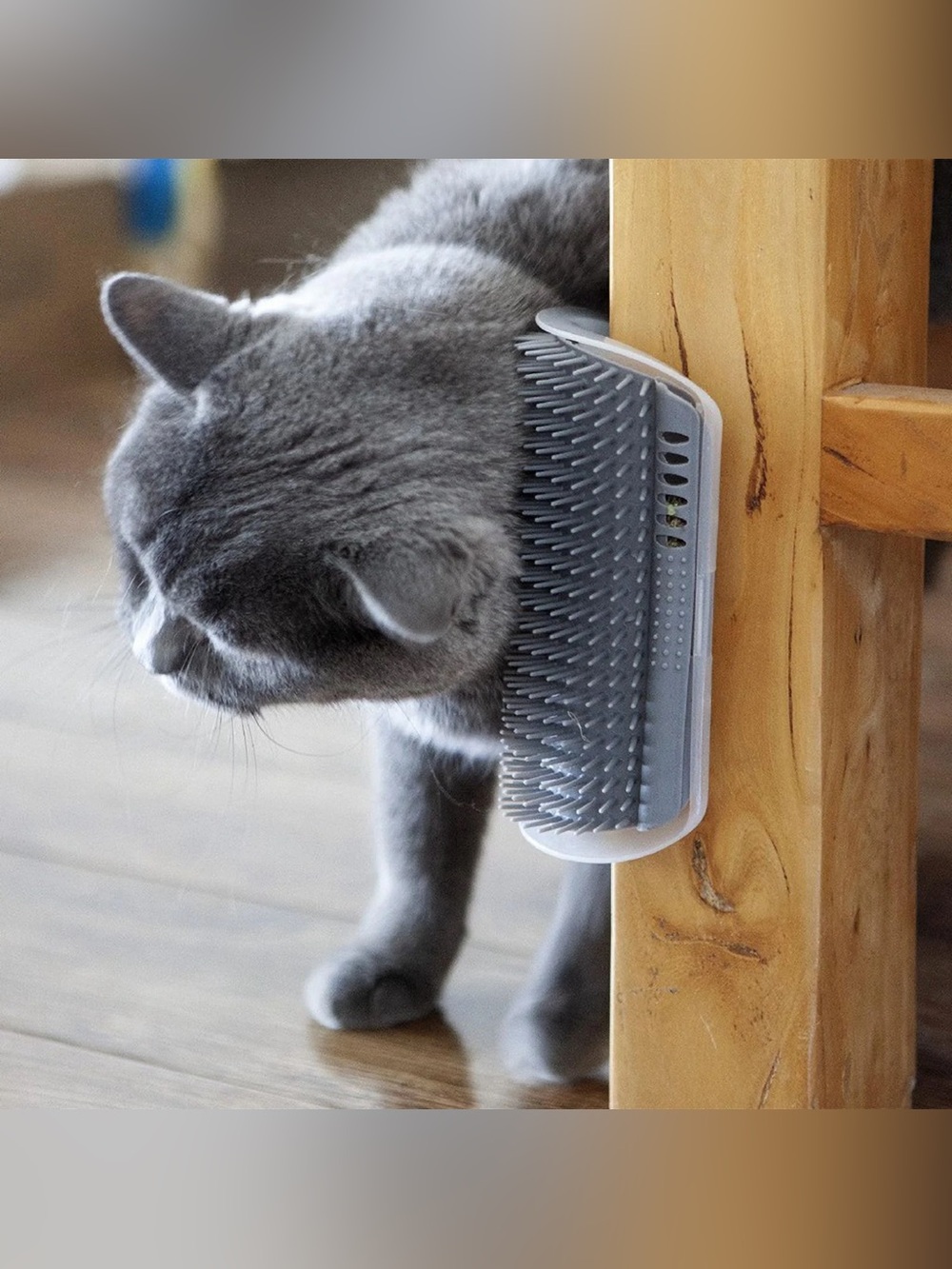 Self-Grooming Corner Brush for Cats - Gray